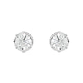 4-Prong Basket Stud Earrings w/ Screwbacks